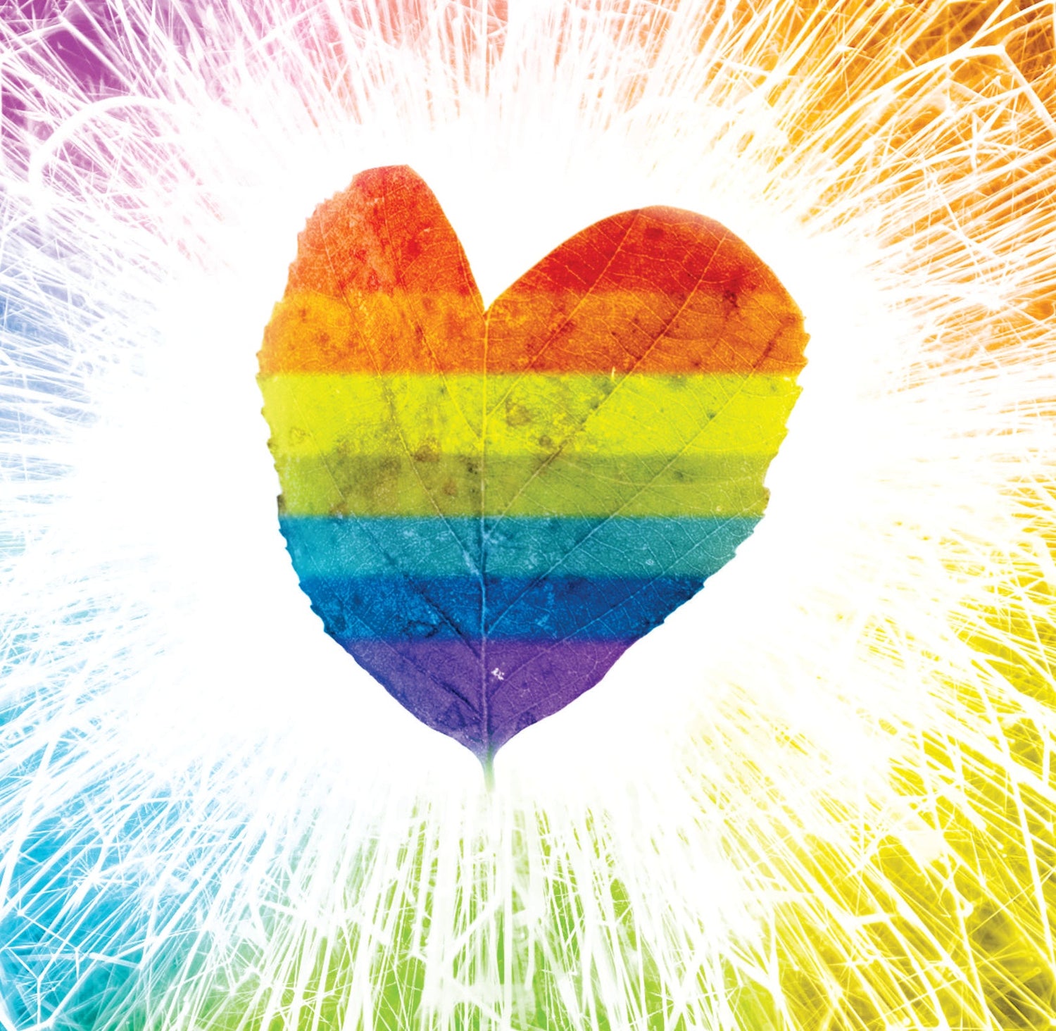 Pride Bandanas – Rainbow & LGBTQ+